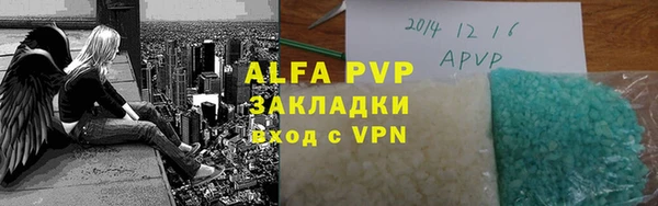 гашик Арсеньев