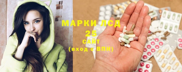 гашик Арсеньев