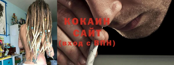 гашик Арсеньев