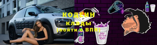 гашик Арсеньев