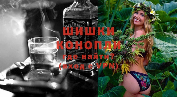 гашик Арсеньев