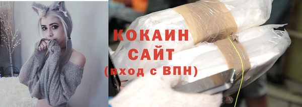 круглые Пересвет