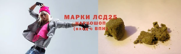 эйфоретик Аркадак