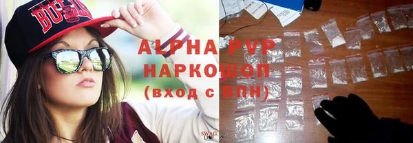 гашик Арсеньев