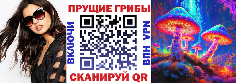 Галлюциногенные грибы мицелий  Солнечногорск 
